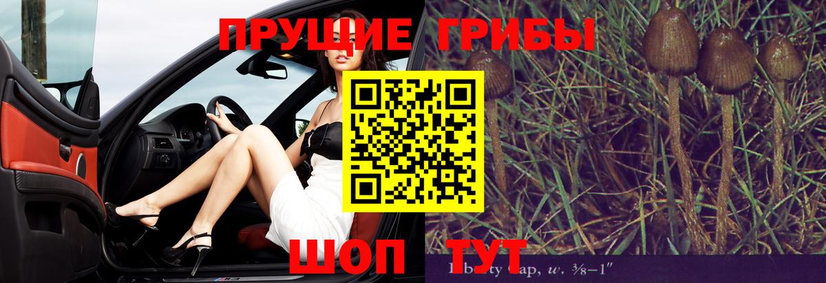 Галлюциногенные грибы Psilocybe  Вход с VPN  Касимов  Галлюциногенные грибы GOLDEN TEACHER 